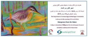 Mangroves_ExhibFlier