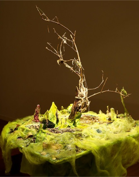 3d_mangroves_from_the_water_1_20160318_1866778706